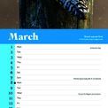 Otter House - Owls RSPB Slim Calendar 2027 additional 2