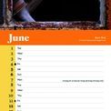 Otter House - Owls RSPB Slim Calendar 2027 additional 4