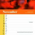 Otter House - Owls RSPB Slim Calendar 2027 additional 3
