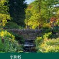 Otter House - RHS Slim Diary 2027 additional 3