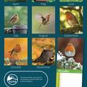 Otter House - Robins RSPB Slim Calendar 2027 additional 1