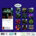 Otter House - Sarah Raven Wall Calendar 2027 additional 2