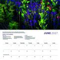 Otter House - Sarah Raven Wall Calendar 2027 additional 3