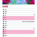 Otter House - Seaside Days Slim Calendar 2027 additional 3
