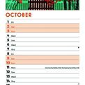 Otter House - Seaside Days Slim Calendar 2027 additional 4