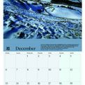 Otter House - Seasons National Trust Wall Calendar 2027 additional 5