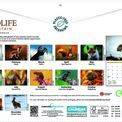 Otter House - Wildlife of Britain A4 Calendar 2027 additional 4
