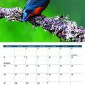 Otter House - Wildlife of Britain A4 Calendar 2027 additional 5