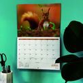 Otter House - Wildlife of Britain A4 Calendar 2027 additional 1