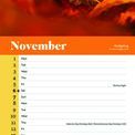 Otter House - Wildlife RSPB Slim Calendar 2027 additional 4