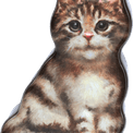 Tin Treats - Jo Stockdale Cat Tin with Fudge 175g additional 3