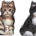 Tin Treats - Jo Stockdale Cat Tin with Fudge 175g additional 1