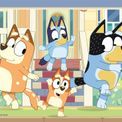 Ravensburger - Bluey (4in1) - 12004372 additional 5