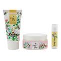 Heathcote &amp; Ivory - Busy Bees Assorted Body Hand &amp; Lip Set additional 2