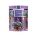 Heathcote &amp; Ivory - English Lavender Shower Steamers additional 1
