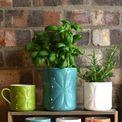 Beau &amp; Elliot Carnaby Large Ceramic Pot Teal additional 2