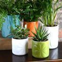 Beau &amp; Elliot Carnaby Small Ceramic Pot Ivory additional 2