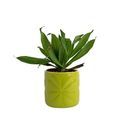 Beau &amp; Elliot Carnaby Small Ceramic Pot Lime additional 1
