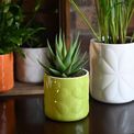 Beau &amp; Elliot Carnaby Small Ceramic Pot Lime additional 2