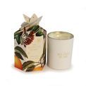 Ashleigh &amp; Burwood London - Christmas Spice Candle 170g additional 1
