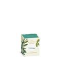 Ashleigh &amp; Burwood London - Eucalyptus &amp; Vetiver Candle 170g additional 2