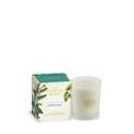 Ashleigh &amp; Burwood London - Eucalyptus &amp; Vetiver Candle 170g additional 1