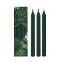 Ashleigh &amp; Burwood London - Festive Fir &amp; Cedarwood 3 Pack Taper Candles additional 1