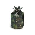 Ashleigh &amp; Burwood London - Festive Fir &amp; Cedarwood Candle 170g additional 2