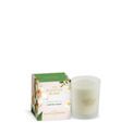 Ashleigh &amp; Burwood London - Jasmine &amp; Tuberose Candle 170g additional 1