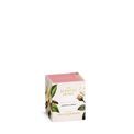 Ashleigh &amp; Burwood London - Rose &amp; Vanilla Musk Candle 170g additional 2