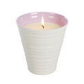 Wax Lyrical - Sophie Conran Energies - Wisdom Ceramic Candle additional 3