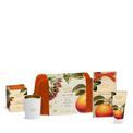 Ashleigh &amp; Burwood London - Winter Spice Gift Set additional 1