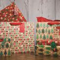 Glick - Landscape Large Gift Bag Cheerful Greetings additional 2