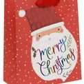 Glick - Large Gift Bag Rainbow Santa additional 1