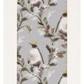 Glick - Tissue Crowned Emperor Silver additional 1