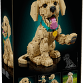 LEGO Icons - Golden Retriever Puppy additional 1