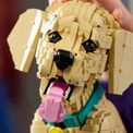 LEGO Icons - Golden Retriever Puppy additional 2