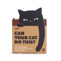 pikkii. - Can Your Cat Do This? additional 1