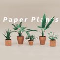 pikkii. - Paper Plants additional 4