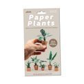 pikkii. - Paper Plants additional 1