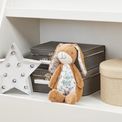 Rainbow Designs - Guess How Much I Love You New Large Nutbrown Hare additional 3