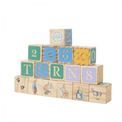 Rainbow Designs - Peter Rabbit 16pc Wooden Picture Blocks additional 3