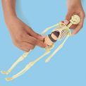 Build a Body additional 2