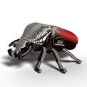 EUGY Goliath Beetle additional 3