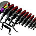 EUGY Goliath Beetle additional 4