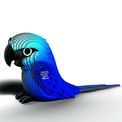 EUGY Spixs Macaw   additional 3