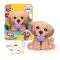 Little Live Pets My Really Real Puppy Bailey additional 7