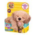 Little Live Pets My Really Real Puppy Bailey additional 4