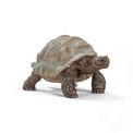 Schleich Wild Life Giant Tortoise - 14824 additional 1