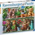 Ravensburger Cats on the Shelf 500 piece Jigsaw Puzzle - 14824 additional 1